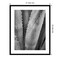 Abstract Agave I by Elizabeth Urquhart Wood Framed Wall Art Print